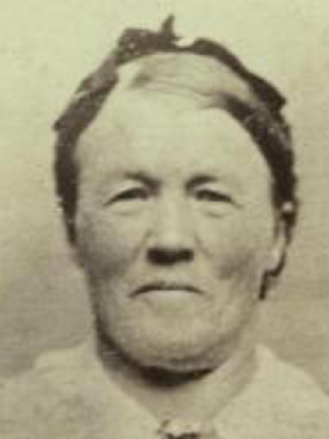 Phoebe Robson (1804 - 1868) Profile